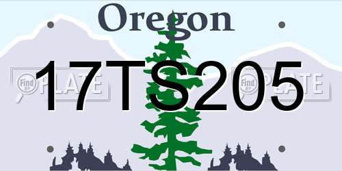 17TS205 Oregon License Plate