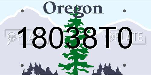 18038T0 Oregon License Plate