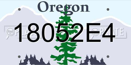 18052E4 Oregon License Plate