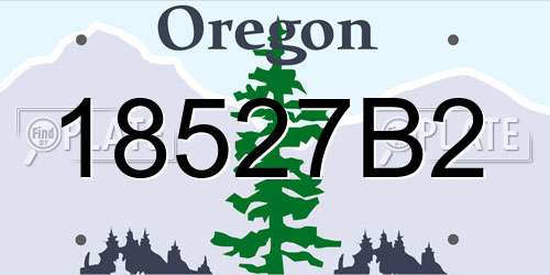 18527B2 Oregon License Plate