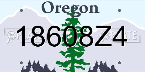 18608Z4 Oregon License Plate