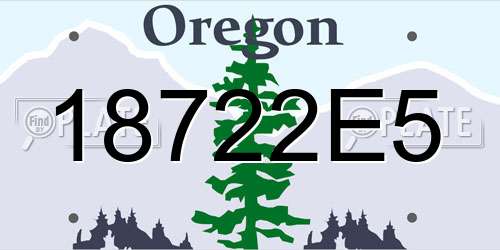 18722E5 Oregon License Plate
