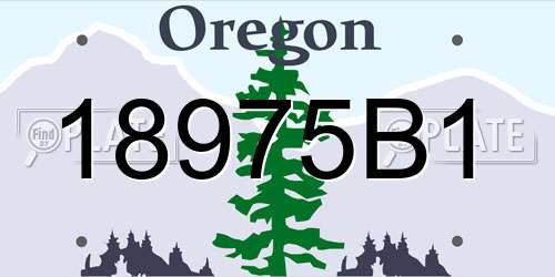 18975B1 Oregon License Plate