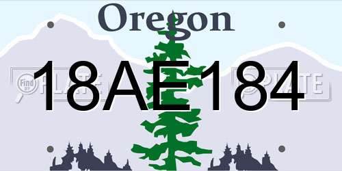 18AE184 Oregon License Plate