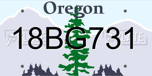 18BG731 Oregon License Plate