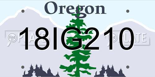 18IG210 Oregon License Plate