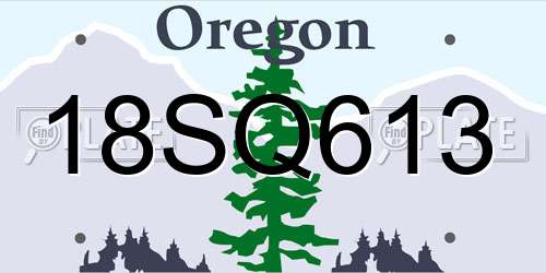 18SQ613 Oregon License Plate