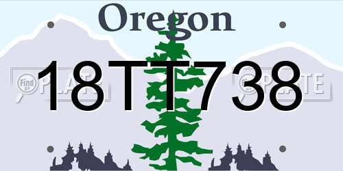 18TT738 Oregon License Plate