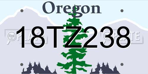 18TZ238 Oregon License Plate
