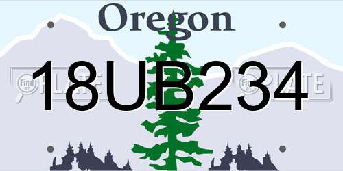 18UB234 Oregon License Plate