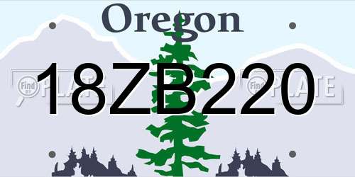 18ZB220 Oregon License Plate