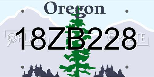 18ZB228 Oregon License Plate