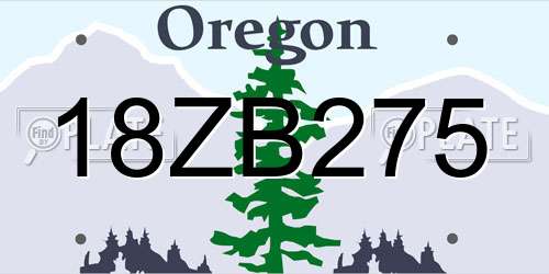 18ZB275 Oregon License Plate