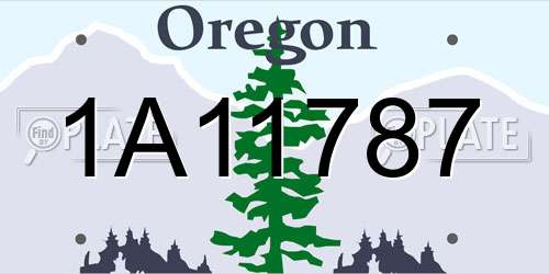 1A11787 Oregon License Plate