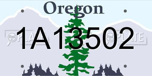 1A13502 Oregon License Plate