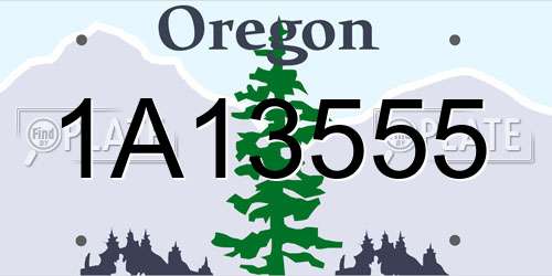 1A13555 Oregon License Plate