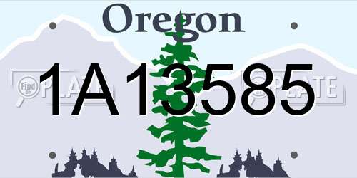 1A13585 Oregon License Plate
