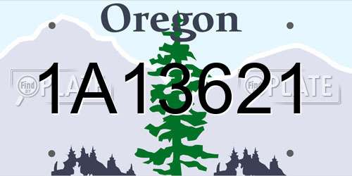 1A13621 Oregon License Plate