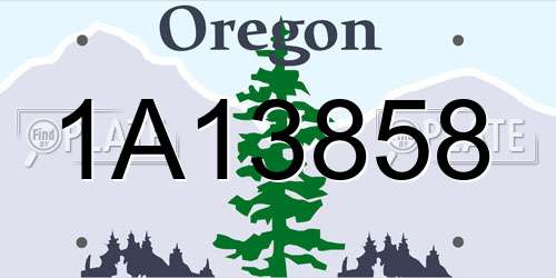 1A13858 Oregon License Plate