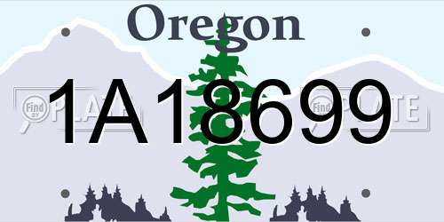 1A18699 Oregon License Plate