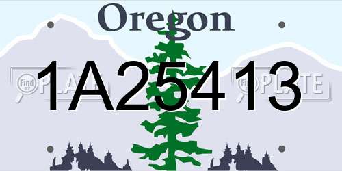 1A25413 Oregon License Plate