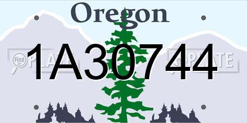 1A30744 Oregon License Plate