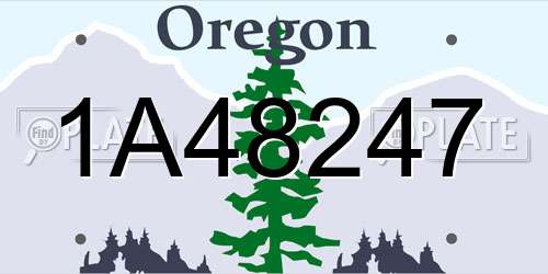 1A48247 Oregon License Plate