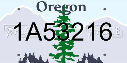 1A53216 Oregon License Plate