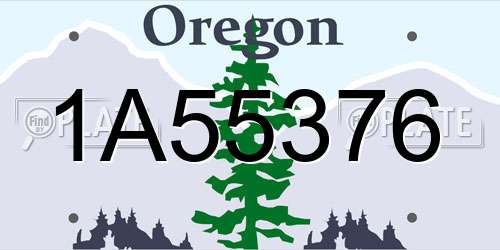 1A55376 Oregon License Plate