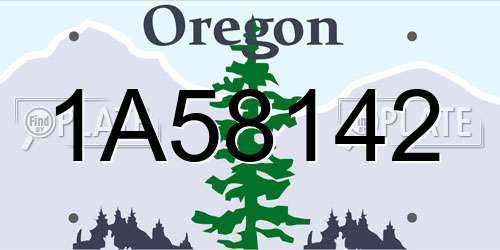 1A58142 Oregon License Plate