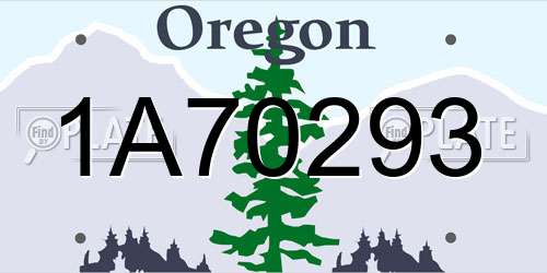 1A70293 Oregon License Plate