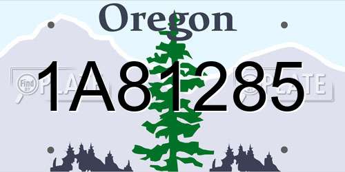1A81285 Oregon License Plate