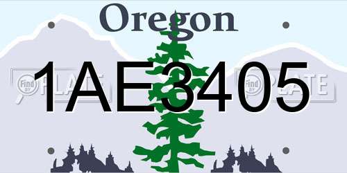 1AE3405 Oregon License Plate