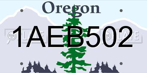 1AEB502 Oregon License Plate