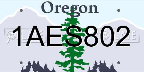 1AES802 Oregon License Plate
