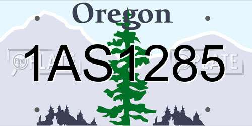 1AS1285 Oregon License Plate