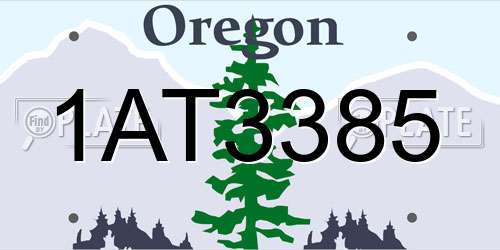 1AT3385 Oregon License Plate