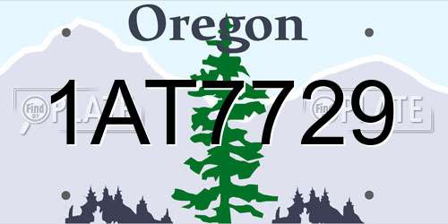 1AT7729 Oregon License Plate