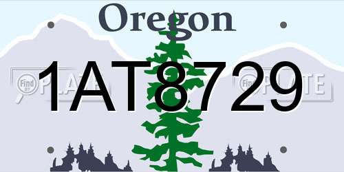 1AT8729 Oregon License Plate
