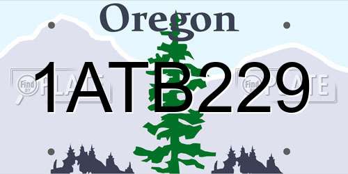 1ATB229 Oregon License Plate