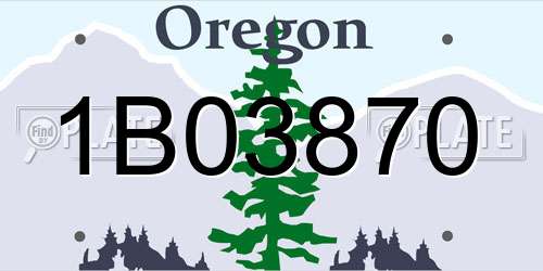 1B03870 Oregon License Plate
