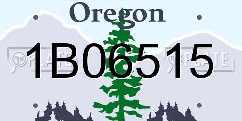 1B06515 Oregon License Plate