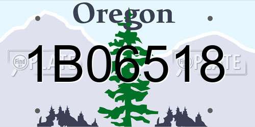 1B06518 Oregon License Plate