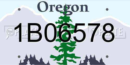 1B06578 Oregon License Plate
