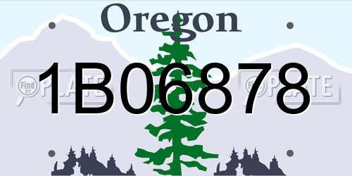 1B06878 Oregon License Plate