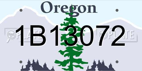 1B13072 Oregon License Plate