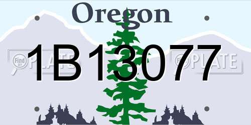 1B13077 Oregon License Plate