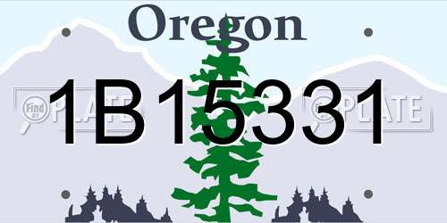 1B15331 Oregon License Plate
