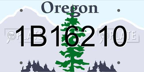 1B16210 Oregon License Plate