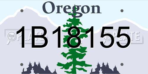 1B18155 Oregon License Plate